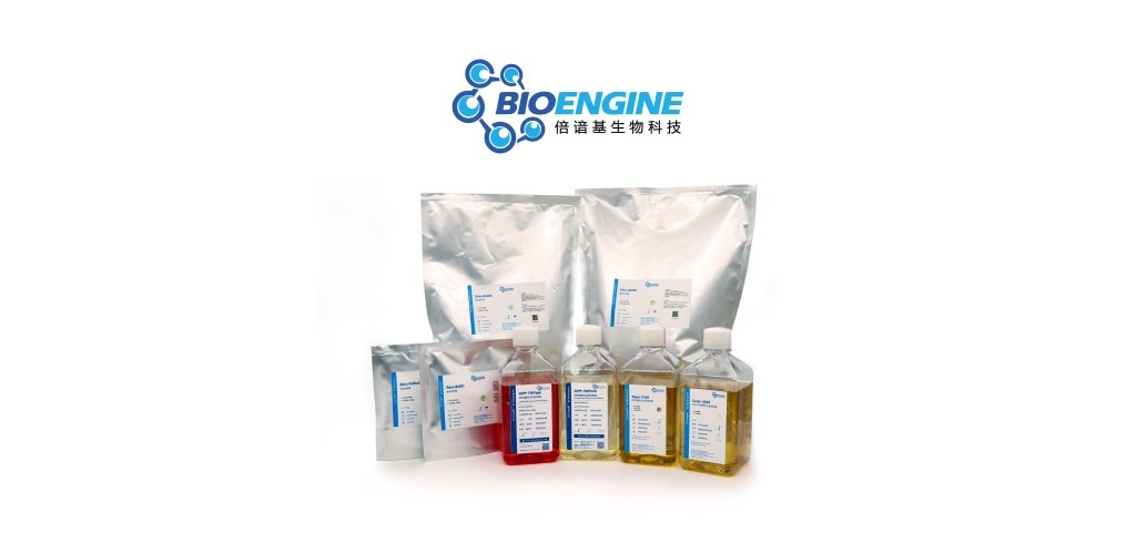 BIOENGINE — THE MOST RELIABLE CELL CULTURE MEDIUM PARTNER FROM CHINA